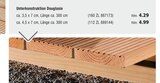 Unterkonstruktion Douglasie bei Holz-Zentrum Theile im Prospekt "" für 4,29 €