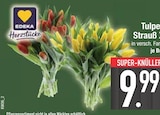 EDEKA Ebersberg - Tulpen Strauß Angebot im Prospekt Tulpen Strauß bei EDEKA im Ebersberg Prospekt für 9,99 €