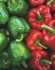 Poivron rouge ou vert en promo chez Supeco Poivron rouge ou vert dans le catalogue Supeco
