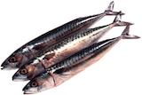 Aktuelle Fisch Angebote bei REWE in Mönchengladbach Aktuelles Makrele Angebot bei REWE in Mönchengladbach ab 1,29 €