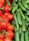 Bio-Tomate und -Gurke im aktuellen toom Baumarkt Prospekt