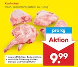 Kaninchen im Angebot bei Netto Marken-Discount in Halle Kaninchen Angebote bei Netto Marken-Discount Halle für 9,99 €