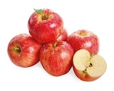 Snack Äpfel Gala von REWE Beste Wahl für 3,33 € bei REWE im Angebot Snack Äpfel Gala von REWE Beste Wahl im aktuellen REWE Prospekt