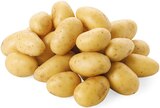 Speisekartoffeln »Die Feinen« im REWE Prospekt Speisekartoffeln »Die Feinen« von Rewe Beste Wahl im aktuellen REWE Prospekt für 1,99 €