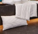 GANZJAHRESBETT oder KOPFKISSEN Angebote von CENTA-STAR bei Möbel Wallach Gifhorn für 29,95 €