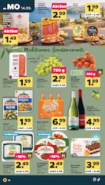 Teller Angebot & Preis im aktuellen Netto mit dem Scottie Prospekt Teller Angebot im aktuellen Netto mit dem Scottie Prospekt auf Seite 16