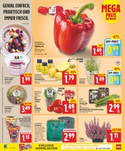 Tomaten im WEZ Prospekt in Bad Salzuflen Aktueller WEZ Prospekt mit Tomaten, "Die WEZette", Seite 2