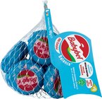 Quark-Joghurt-Creme im Angebot bei Netto Marken-Discount in Halle Quark-Joghurt-Creme Angebote von Exquisa bei Netto Marken-Discount Halle für 1,49 €