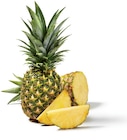 Lidl Saint-Séries - Promo Ananas Promo Ananas à 1,49 € dans le catalogue Lidl à Saint-Séries