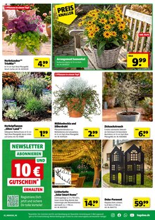 Blumentopf im aktuellen Hagebaumarkt Prospekt (Lübeck) Blumentopf im Hagebaumarkt Prospekt "ERLEBE IMMERGRÜNE GARTENMOMENTE" mit 12 Seiten (Lübeck)
