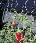 Tuteur spirale pour tomates - Weldom à Béziers Tuteur spirale pour tomates en promo chez Weldom Béziers à 1,75 €