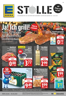 Aktueller EDEKA Prospekt für Bonn mit  Seiten