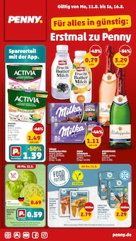 Milch im Penny Prospekt "Wer günstig will, muss Penny." mit 36 Seiten (Potsdam)