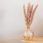 Vase givre avec pampa à 9,99 € dans le catalogue B&M