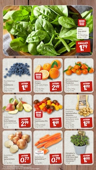 Tomaten im nahkauf Prospekt "nichts liegt näher" mit 8 Seiten (Heidelberg)