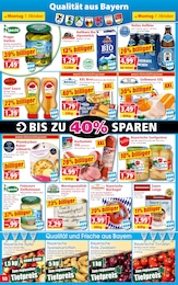 Suppen Angebot im aktuellen Norma Prospekt auf Seite 10