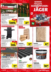 Briketts im Hagebaumarkt Prospekt in Amberg Aktueller Hagebaumarkt Prospekt mit Briketts, "SCHNAPP DIR DIE SUPER DEALS", Seite 3