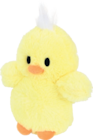 Poussin dans le catalogue Maxi Zoo