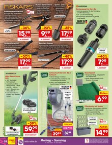 Blumentopf im Netto Marken-Discount Prospekt "Aktuelle Angebote" mit 62 Seiten (Mönchengladbach)