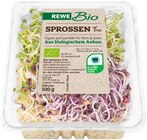 Aktuelle Gemüse Angebote bei REWE in Ludwigshafen (Rhein) Aktuelles Sprossen Trio Angebot bei REWE in Ludwigshafen (Rhein) ab 1,19 €