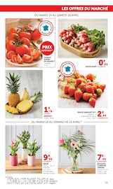Plante Verte en promo dans le catalogue U Express à la page 25