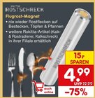 Aktuelles Flugrost-Magnet Angebot bei Netto Marken-Discount in Duisburg ab 4,99 €