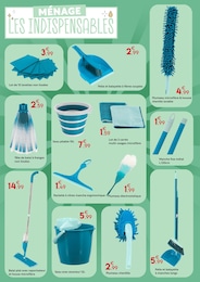 Offre Plumeau dans le catalogue Maxi Bazar du moment à la page 14