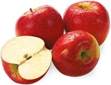 Rote Tafeläpfel Angebote von REWE Regional bei REWE Gifhorn für 1,79 €