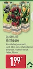 Himbeere von Gardenline im aktuellen ALDI Nord Prospekt