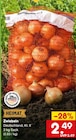 Netto Marken-Discount - Zwiebeln Angebot im Prospekt Zwiebeln bei Netto Marken-Discount im Prospekt "" für 2,49 €