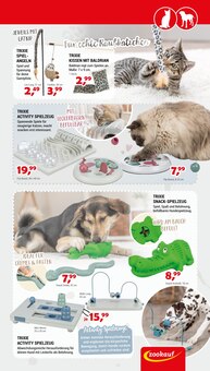 Kissen im Zookauf Prospekt "Spielspaß pur für aktive Vierbeiner" mit 4 Seiten (Bremen)