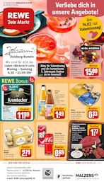 Der aktuelle REWE Prospekt "Dein Markt" mit  Seiten (Krefeld)