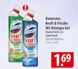 famila Nordost Neumünster - Kraft & Frische WC-Reiniger Gel Ocean fresh Angebot im Prospekt Kraft & Frische WC-Reiniger Gel Ocean fresh bei famila Nordost im Neumünster Prospekt für 1,69 €