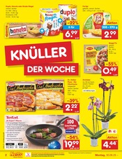Kochtopf im Netto Marken-Discount Prospekt in Passau Aktueller Netto Marken-Discount Prospekt mit Kochtopf, "Aktuelle Angebote", Seite 2