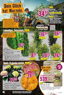 Pflanzenerde im Hornbach Prospekt "Dein Wille verlegt Deine Terrasse." mit 31 Seiten (Bochum)