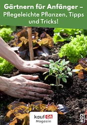 Aktueller kaufDA Magazin Prospekt mit Balkonpflanzen, "Garten", Seite 1
