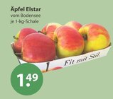 Äpfel Elstar im aktuellen V-Markt Prospekt für 1,49 €