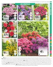 Hortensia Angebote im Prospekt "PROFITER ENFIN DE SON JARDIN" von Carrefour auf Seite 13