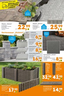 Pflanzen im aktuellen Globus-Baumarkt Prospekt (Saarbrücken) Pflanzen im Globus-Baumarkt Prospekt "Immer eine Idee besser" mit 18 Seiten (Saarbrücken)