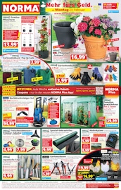 Norma Discounter Prospekt der aktuellen Woche mit 20 Seiten, gültig von 23.02.2026 bis 28.02.2026, in Burgoberbach und Umgebung Aktueller Norma Discounter Prospekt in Burgoberbach und Umgebung, "Mehr fürs Geld" mit 20 Seiten, 23.02.2026 - 28.02.2026