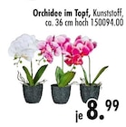 Orchidee im Topf von  im aktuellen SB Möbel Boss Prospekt für 8,99 €