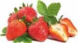 Erdbeeren im Angebot bei EDEKA in Memmingen Erdbeeren Angebote bei EDEKA Memmingen