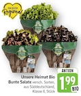 Aktuelles Bunte Salate Angebot bei E center in Stuttgart ab 1,99 €