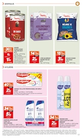 Promos Alimentation oiseaux dans le catalogue "LES JOURS MA CARTE" de Netto à la page 17 Promos Alimentation oiseaux dans le catalogue "LES JOURS MA CARTE" de Netto à la page 17