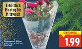 Topfrose mit Glitzer im aktuellen E center Prospekt