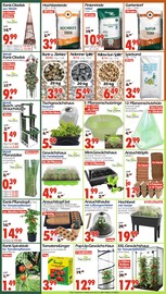 Aktueller Wreesmann Prospekt mit Gartendeko, "DEIN SAISON- & SONDERPOSTENMARKT!", Seite 2