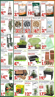 Aktueller Wreesmann Groß Schacksdorf-Simmersdorf Prospekt Wreesmann Prospekt Groß Schacksdorf-Simmersdorf "DEIN SAISON- & SONDERPOSTENMARKT!" mit 12 Seiten