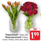 Tulpenstrauß Angebote bei E center Pirmasens für 1,99 €