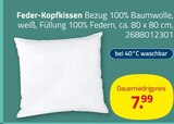 Feder-Kopfkissen Angebote bei ROLLER Rostock für 7,99 €