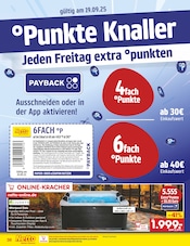 Pool im Netto Marken-Discount Prospekt in Wunstorf Aktueller Netto Marken-Discount Prospekt mit Pool, "Aktuelle Angebote", Seite 42